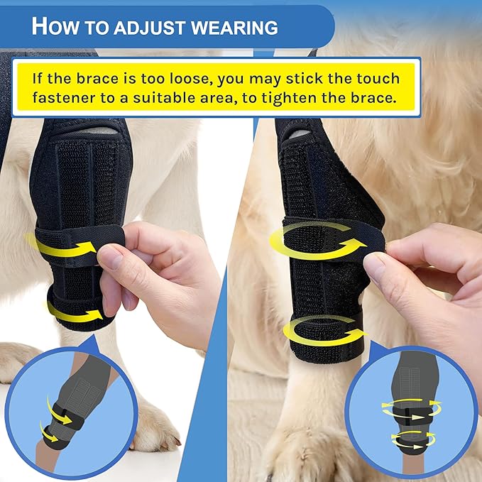 Dog Knee Brace for Torn ACL, Hind and Rear Leg Support, Ligament Injury & Joint Pain Relief, Color: Black
