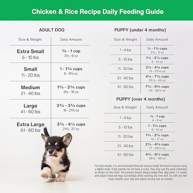 DIY Human Quality Dog Food - Chicken and White Rice Recipe (225 Grams)