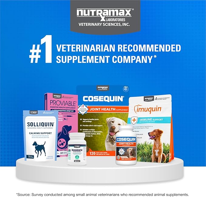 Nutramax Laboratories Cosequin DS Plus MSM Professional Line for Dogs,60 Soft Chews,(Pack of 2)