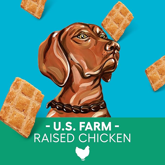 Newman's Own Jerky Treats for Dogs - Grain Free - High Protein Dog Treats with US Farm-Raised Chicken - Training & Reward Treats - Original Chicken Recipe - 5 oz Bag (Pack of 6)