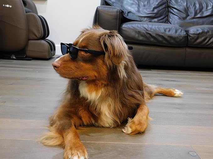 G006 Dog Pet 80s Costume Sunglasses Prop Photoshoot Medium Breeds 20-40 lbs (2-Pack Black+Navy Blue)