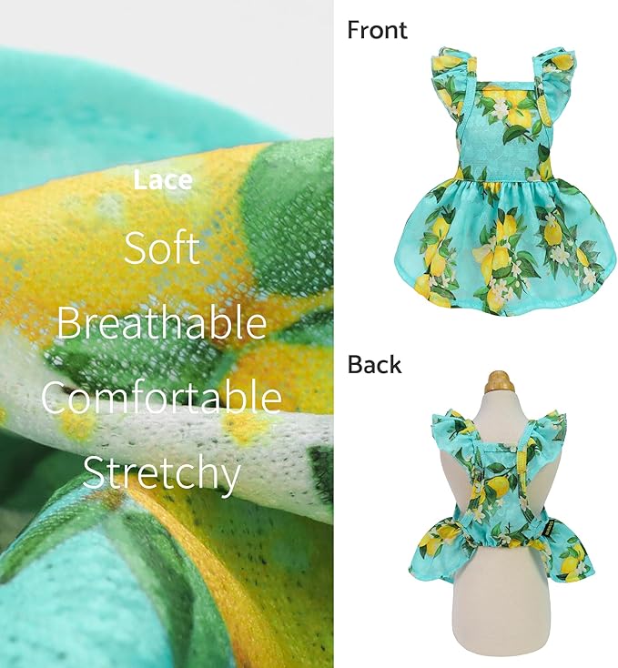Fitwarm Lemon Dog Dress, Dog Clothes for Small Dogs Girl, Pet Cat Apparel, Teal Blue, Yellow, Green, Small