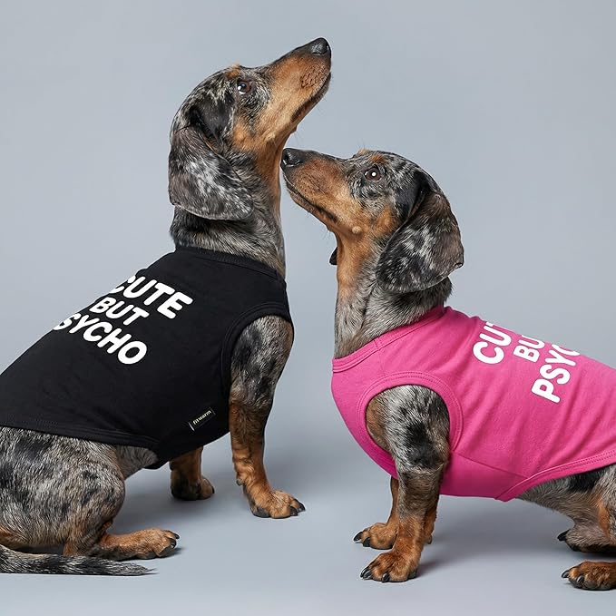 Fitwarm Cute But Psycho Dog Shirt, Summer Clothes for Small Dogs Boy Girl, Funny Pet Outfit, Black, White, XS
