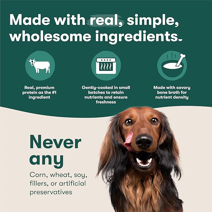 Jinx Beef & Chicken Wet Dog Food Pouches, Meal or Dog Food Topper Mix-in, Made with Real Beef & Chicken, Bone Broth, No Fillers - Puppy, Adult, Senior, 3oz, 8 Pack