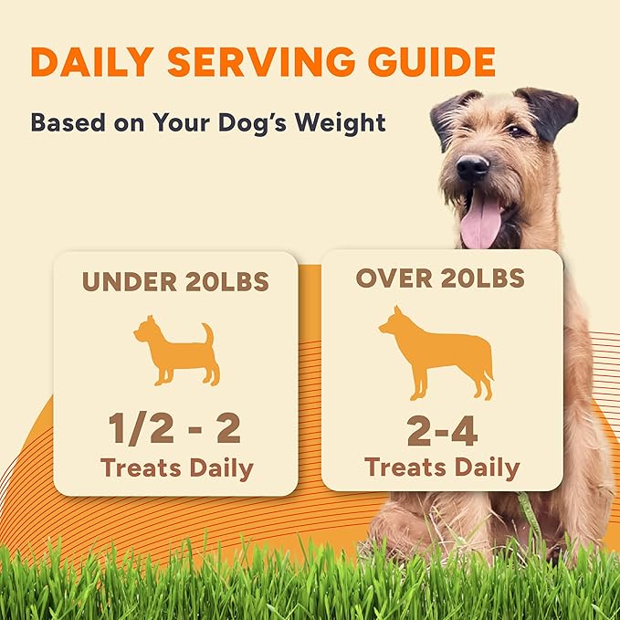 Gaines Family Farmstead Sweet Potato Dog Bones – 14 oz Bag, All-Natural, Single Ingredient, Grain-Free Dog Treats for Digestive Health, High Fiber - Training & Rewards, Made in USA