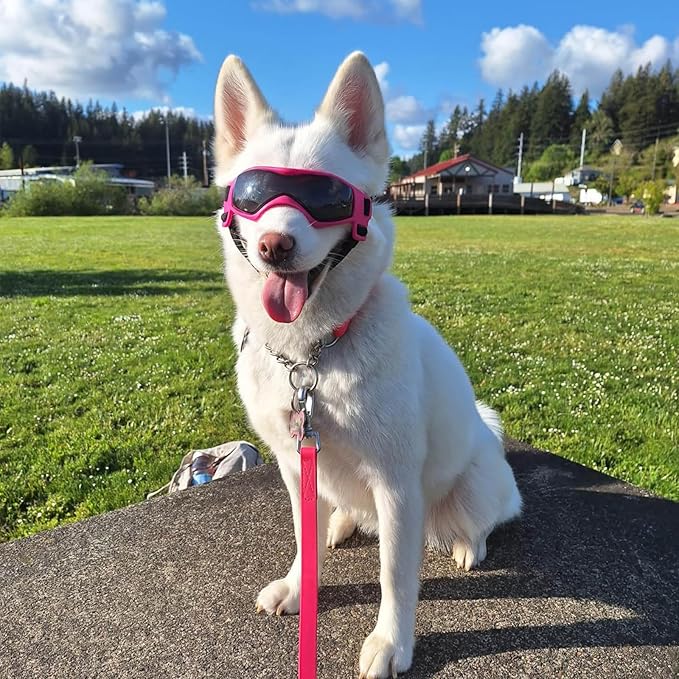 PETLESO Dog Goggles Small Breed, UV Protection Dog Sunglasses Windproof Anti-Fog Doggy Glasses for Small to Medium Breed Outdoor Riding Driving Motorcycle, Medium Pink