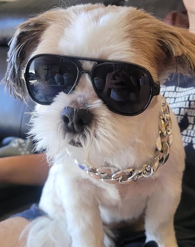 C02 Dog Pet 2pcs Costume Aviator Sunglasses with Chain Necklace for Small Breed up to 15lbs (Small Aviator Black+Silver Chain)