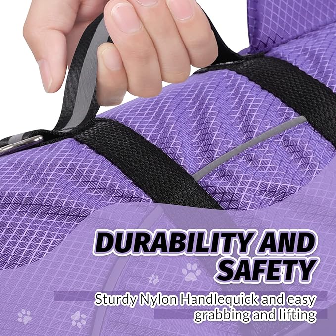 Queenmore Small Dog Shark Life Jacket,Dog Life Vest for Swimming Boating Kayaking,High Buoyancy Puppy Dog Life Preserver,Reflective Light Dog Lifesaver with Strong Rescue Handle (Purple,M)