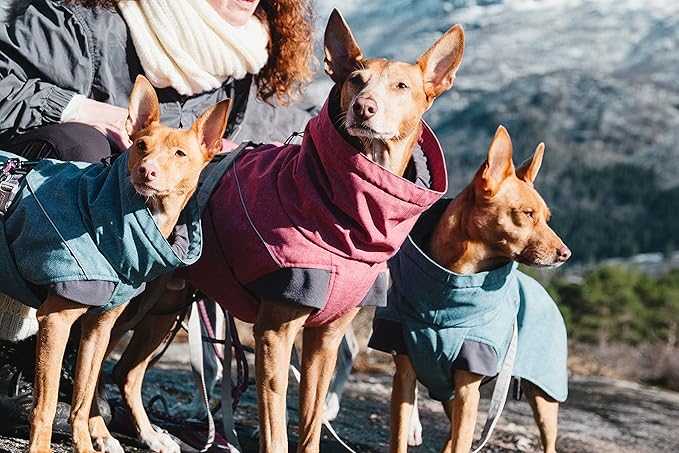 Hurtta Expedition Parka, Winter Dog Coat, Bilberry, 18XS
