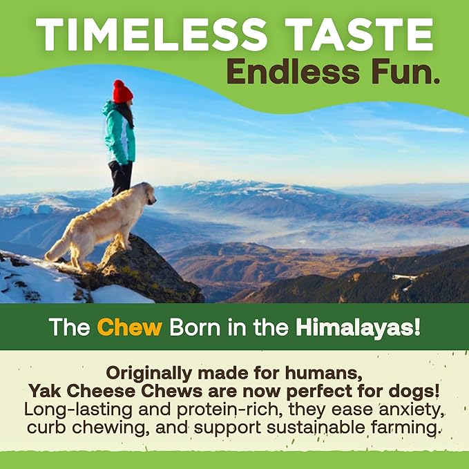 EcoKind Premium Gold Yak Cheese Himalayan Dog Chews, Healthy Dog Treats, Yak Chews for Small Dogs, All Natural, Long Lasting Dog Chew, High Protein Puppy Treat, Small - 70+ Chews (5 lbs)