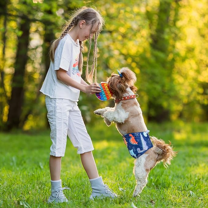 Pet Soft Dog Belly Band - 3 Packs Reusable Dog Diapers Male Doggy Diapers Wraps - Washable Dogs Belly Bands for Male Dogs (Dino, XS)