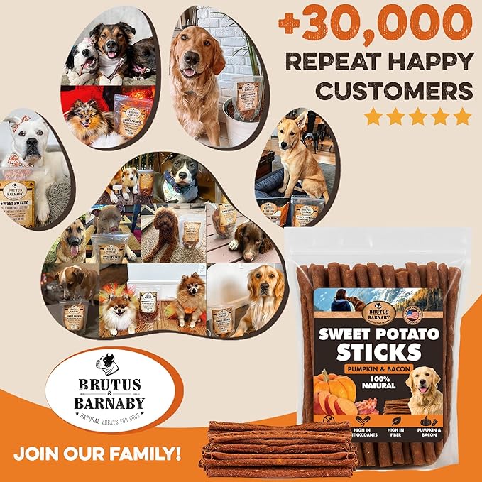 BRUTUS & BARNABY USA Sweet Potato Dog Treats - Grain Free, Pumpkin Bacon Crunchy Sticks - Great Tasting, Promotes Positive Dog Gut Health with Natural Anti-Diarrhea Properties, No Preservatives Added