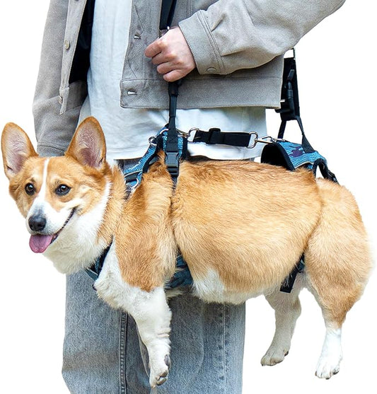 Dog Lift Harness, Dog Lift Sling Carrier with Handle & Shoulder Sling, Support Harness for Rear Back Legs Helps,Disabled,Arthritis,Joint Injuries,Paralysis Up Stairs（Blue,Large）