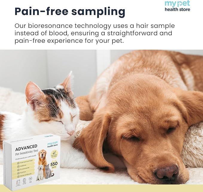 Advanced Allergen Test - At-Home Pet Allergy Test | 550 Items | Quick Results | Non-Invasive Hair Collection | Food, Environment, Nutrient & Mineral Analysis | All Breeds & Ages