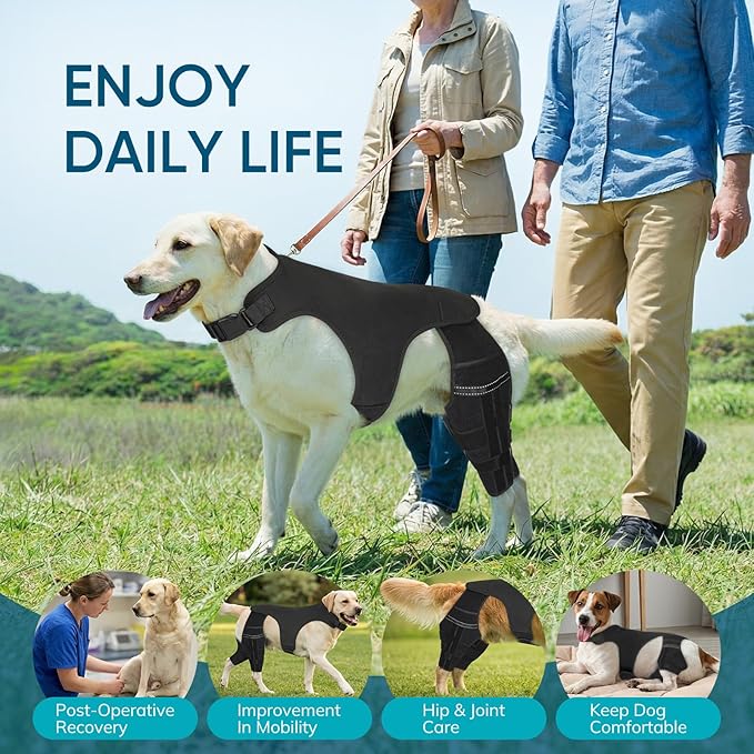 Adjustable Dog Knee Brace for ACL Tear and Arthritis Recovery - Dual Hind Legs Support with Harness Connection - Orthopedic Leg Wrap for Joint Stability and Pain Relief in Small to Large Dogs (S)