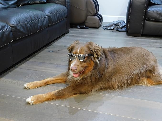 G006 Dog Pet 80s Costume Sunglasses Prop Photoshoot Medium Breeds 20-40 lbs (2-Pack Black+ Clear-Mirror)