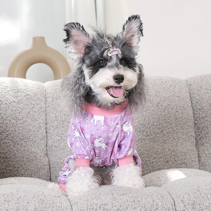 CuteBone Dinosaur Costume Dog Pajamas, Stretchy Spandex Crystal Velvet Sleepwear Coat for Small Dogs, Soft & Warm Pet Outfit Clothes for Cold Weather, Cozy Pullover Design COSP11XS