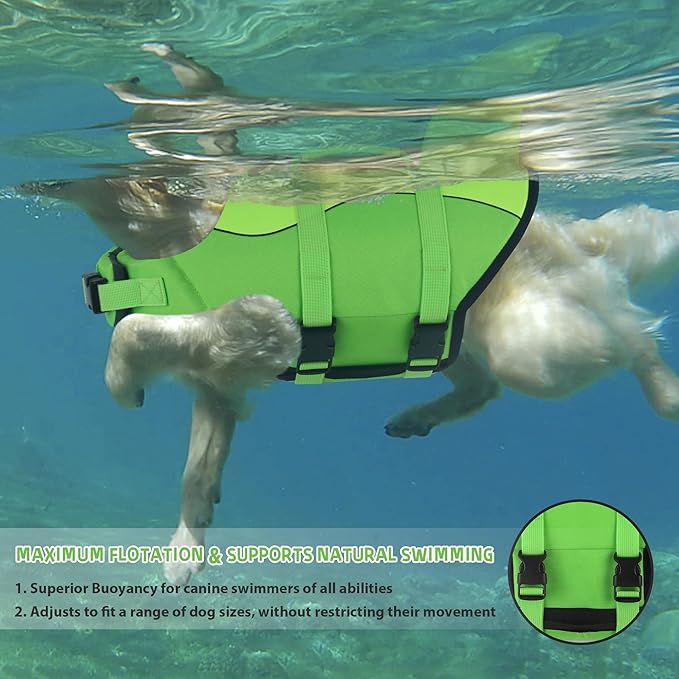 Dogcheer Dog Life Jacket, Cute Shark Dog Life Vest for Swimming Boating with Superior Buoyancy and Rescue Handle, Adjustable Puppy Swim Vest Floating Vest for Small Medium Large Dogs - Green, S