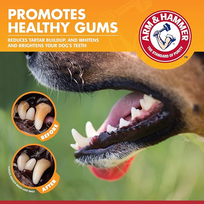 Arm & Hammer for Pets Clinical Care Enzymatic Toothpaste for Dogs | Soothes Inflamed Gums | Dog Toothpaste Enzymatic, Chicken Flavor, 2.5 Oz | Arm and Hammer Toothpaste for Dogs, Dog Dental Care