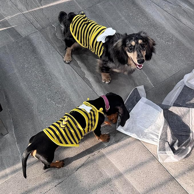 Funny Dog Swimwear Bikini Summer Dog Clothes Beach Swimsuit Puppy Bathing Suit Puppy Vest Cooling Pet Shirt for Small Dogs, Cat Apparel (X-Small, Yellow Bee)