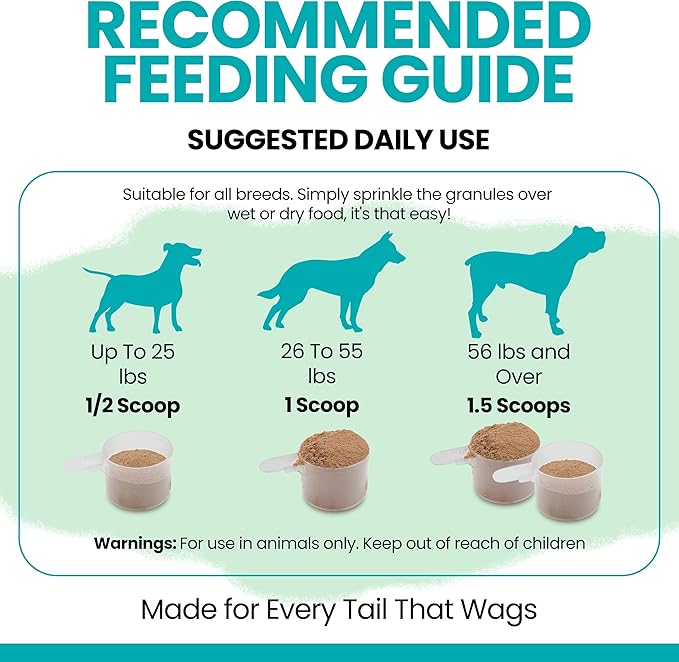 Sea Kelp Powder for Dogs - Thyroid, Dental & Plaque Support, Skin & Coat - Chew + Heal Labs Iodine-Rich 4 oz Kelp Supplement, Immune Health, Natural Seaweed Meal Topper with 5cc Spoon, Made in USA