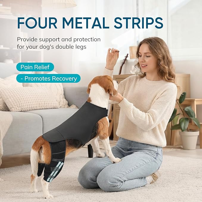 Adjustable Dog Knee Brace for ACL Tear and Arthritis Recovery - Dual Hind Legs Support with Harness Connection - Orthopedic Leg Wrap for Joint Stability and Pain Relief in Small to Large Dogs (L)