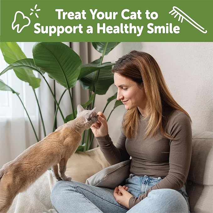 WHIMZEES Wellness Cat Dental Treats, Chicken and Salmon Flavor, (2 Ounce Bag)