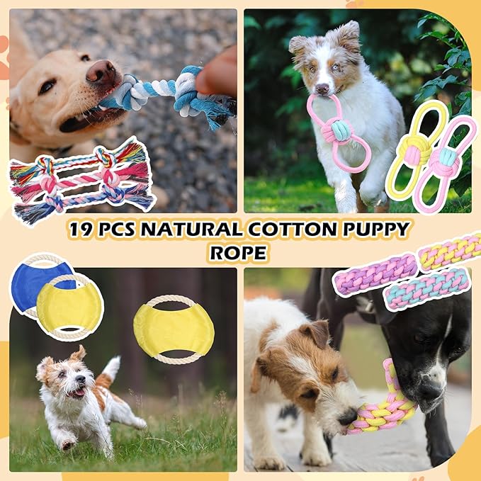 Syhood 60 Pcs Squeaky Dog Toys Bulk Stuffed Plush Chew Toys Puppy Teething Rope Cute Spiky Chew Ball for Small Dog Pet Teething Gift(Sweet Style)