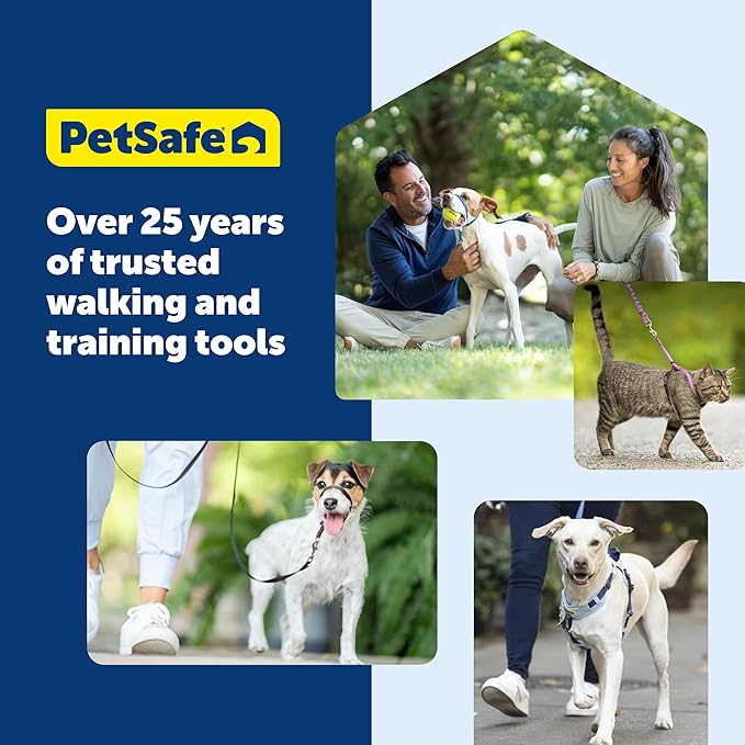 PetSafe Easy Walk No-Pull Dog Harness - The Ultimate Harness to Help Stop Pulling - Take Control & Teach Better Leash Manners - Helps Prevent Pets Pulling on Walks, Petite, Black/Silver