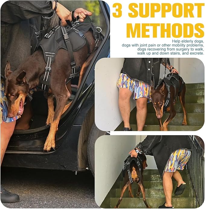 BINGPET Dog Lift Harness for Large Dogs,Full Body Support Rehabilitation Dog Sling Carrier with Handles,Reflective Multifunctional Mobility Assistance Vest for Senior Pets Joint Injuries,Arthritis,L