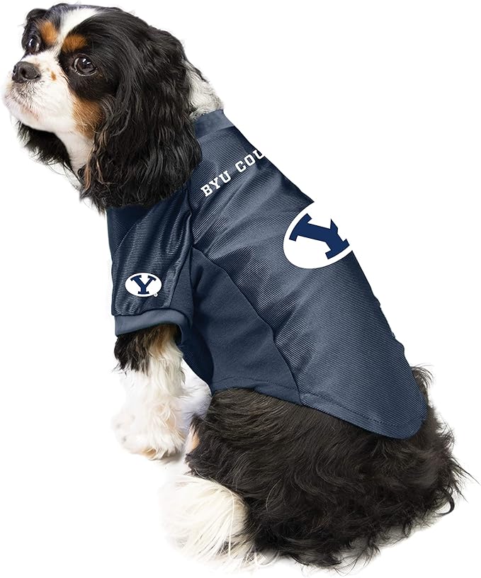 Littlearth NCAA Stretch Pet Jersey