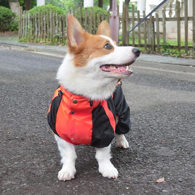 Lovelonglong Welsh Corgi Dog Hooded Raincoat, Dachshund Rain Jacket Poncho Waterproof Clothes with Hood Breathable 4 Feet Four Legs Rain Coats for Corgis Dachshund Red D-M