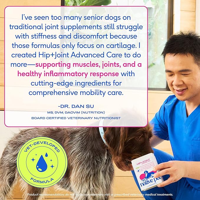 Native Pet Hip & Joint Advanced Care Dog Joint Supplement Powder for Mobility & Movement Support, Joint Supplement for Dogs with HMB, UC-II Collagen, Green Lipped Mussel & Hyaluronic Acid – 60 Scoops
