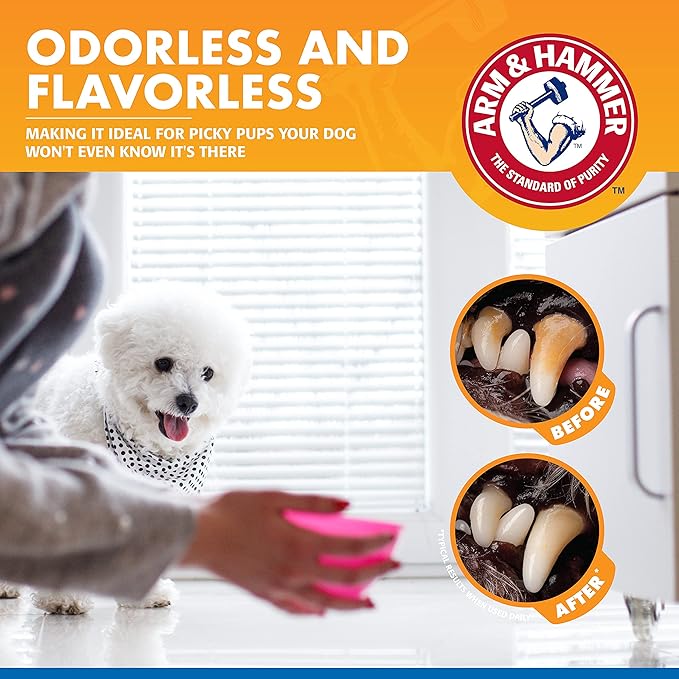 Combo Pack: Arm & Hammer Dog Dental Tartar Control Water Additive and Fresh Breath Vanilla Ginger Enzymatic Toothpaste