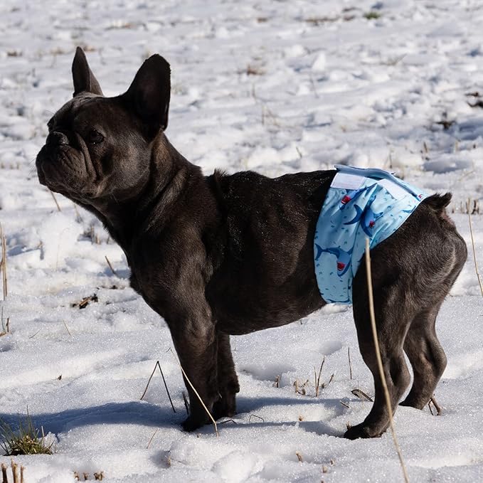 CuteBone Dog Diapers Male Washable Belly Band for Male Dogs Wraps 3pcs a Pack DM28L