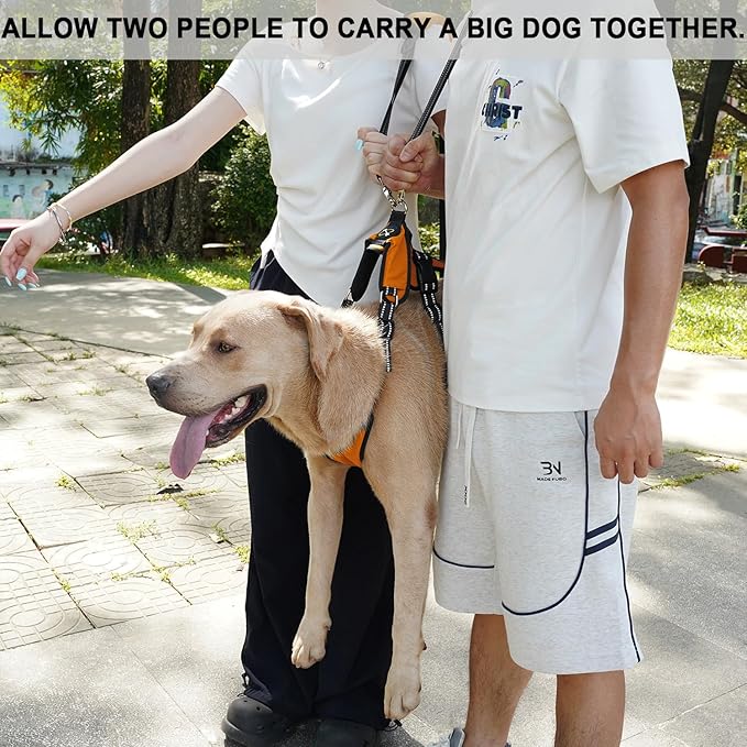 COODEO Mobility Dog Lift Harness, Emergency Carry Sling, Pet Rear Leg Support Rehabilitation Lifts Vest, Dog Carrier for Senior Dogs Joint Injuries, Arthritis (Orange, XL)