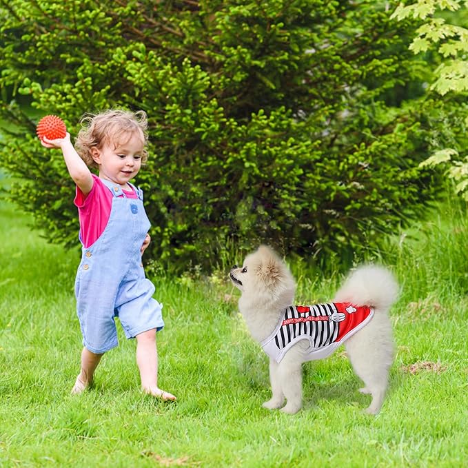 4 Pack Mesh Dog Shirts for Small Dogs: Stretchy Dog Clothes with Cute Patterns, Size XXS-XL Fit for 2-16lb Dogs Pet T-Shirts, Girl & Boy Puppy Clothes for Spring Summer (Pink Set 2, Small)