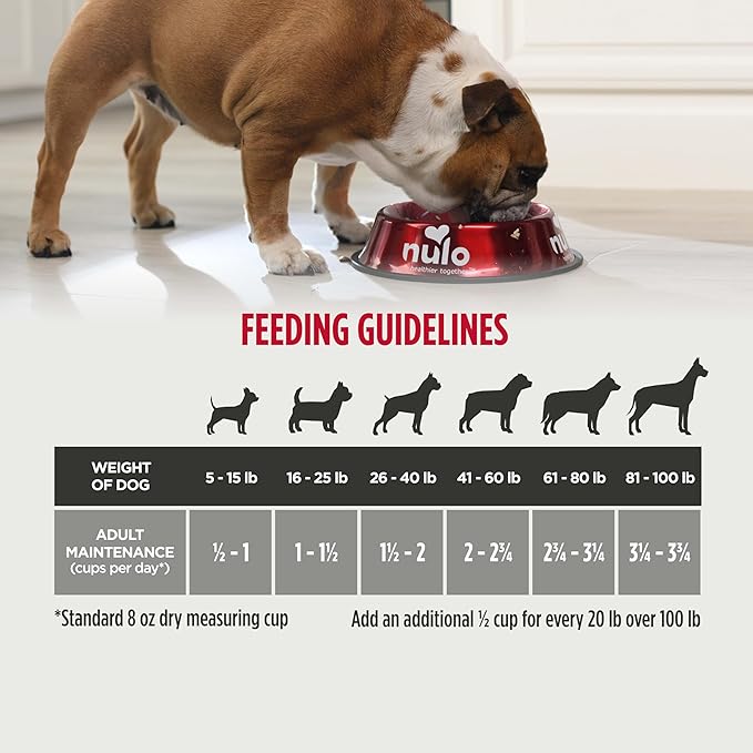 Nulo Frontrunner Dry Dog Food - Adult High-Protein Beef, Barley & Lamb Recipe, Natural Kibble with Ancient Grains, Probiotics, Taurine, Omega 3 for Small, Medium and Large Breeds, 25lb Bag