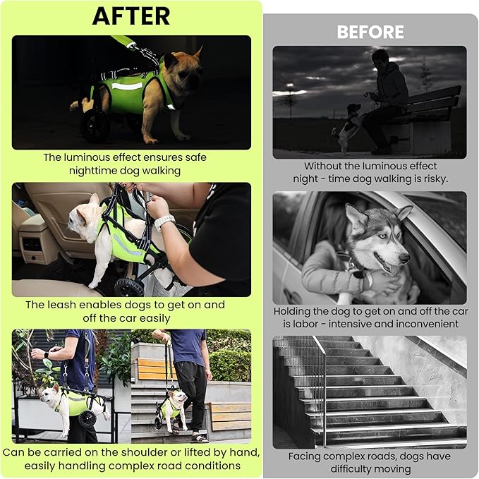 Adjustable Dog Wheelchair for Back Legs, for All Breed Dog - Includes High-Visibility Vest, Leash & Sling Lift, Lightweight Pet Wheelchair for Disabled Hind Legs (Medium, for Small Breed Dog)