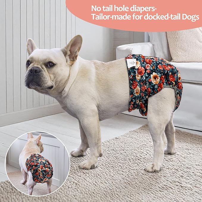 CuteBone Washable Dog Diapers Female No Tail Hole 3 Pack Reusable Doggie Period Training Pants for Docked-Tail Frenchie French Bulldog Boston Terrier Without Tail WWD33XL