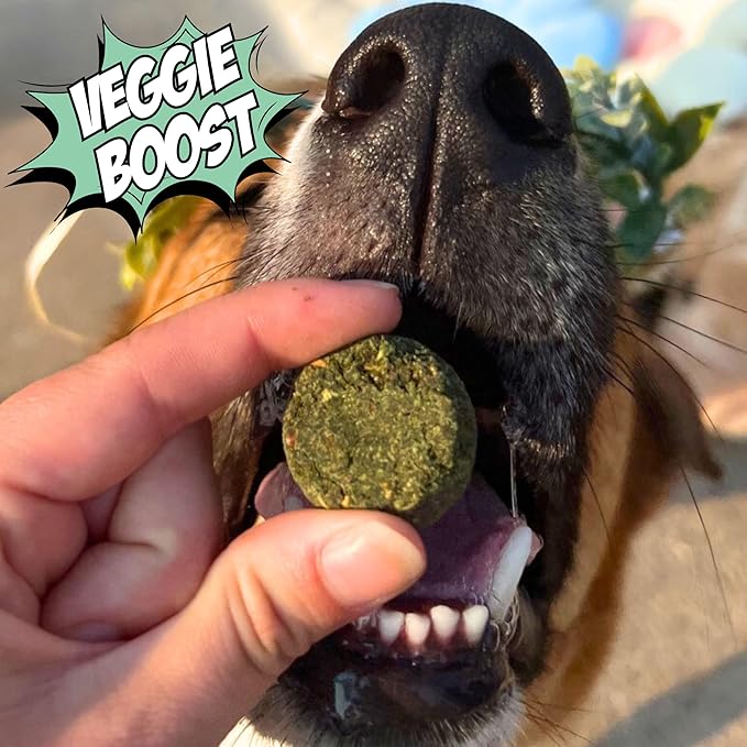Chippin Healthy Dog Treats, All Natural Crunchy Biscuits with Spirulina, Kale, Oats, Low Calorie, No Meat, Hypoallergenic, Vegan Treats for Puppy, Small, Large Dogs