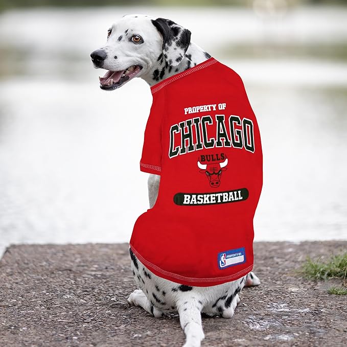 Pets First NBA Licensed Hoodies & T-shirt for Dogs & Cats, Chicago Bulls, X-Small