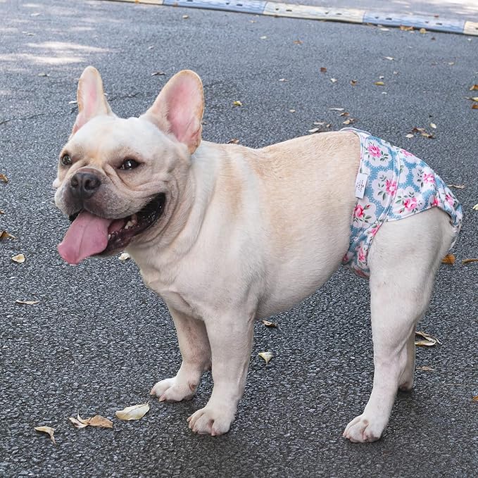 CuteBone Washable Dog Diapers Female No Tail Hole 3 Pack Reusable Doggie Period Training Pants for Docked-Tail Frenchie French Bulldog Boston Terrier Without Tail WWD02S