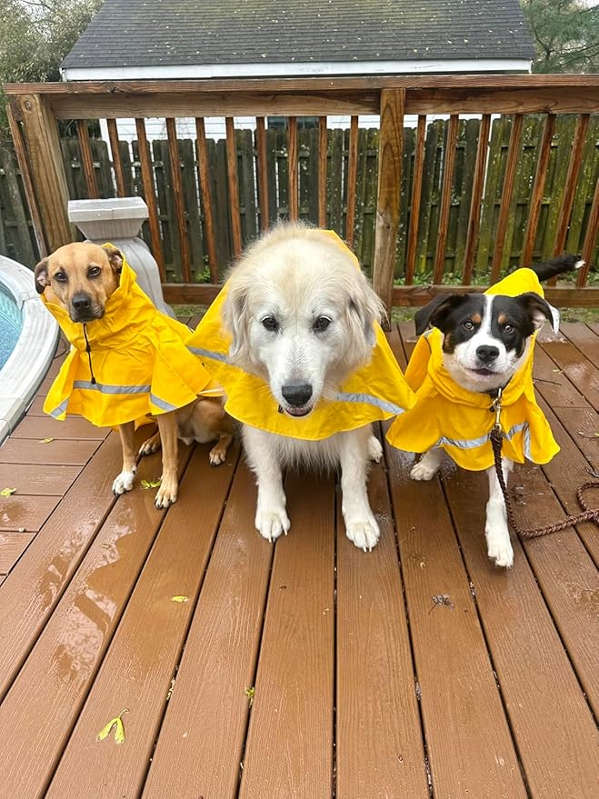 HAPEE Dog Raincoats with Reflective Strip Hoodie,Poncho Jacket for Large Dogs fit Golden Retriever Doodle (A1-Yellow, 20B (30-55 lbs))