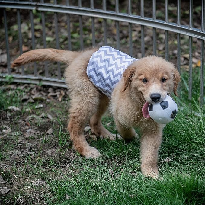CuteBone Dog Belly Bands for Male Dogs Wraps Washable Doggie Diapers DM06M