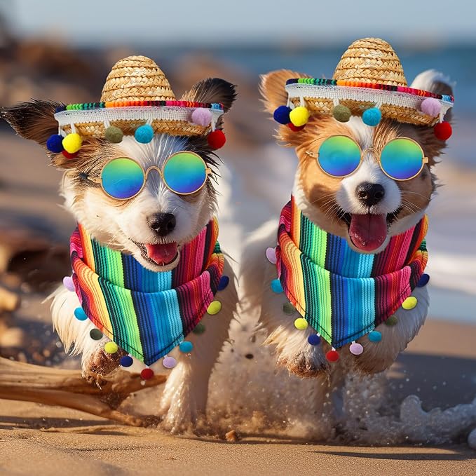 JaGely 3 Pcs Mexican Dog Costume Multicolor Cinco De Mayo Fiesta Cat Bandana with Pom Poms Porch Goose Outfits Mini Sombrero Mexican Hats Retro Pet Sunglasses Costume Accessories for Small Dog and Cat