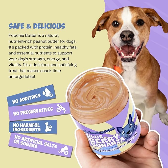 Dilly's Blueberry Dog Treats | Chunky Dog Peanut Butter with Blueberry, Natural Dog Snack (12oz Jar)