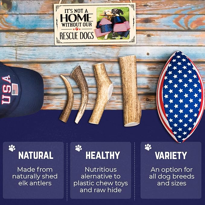 Devil Dog Pet Co - Elk Antler for Dogs Extra Large - Long Lasting Natural Dog Chew for Power Chewers & Large Breeds - Naturally Shed Grade A Rocky Mountain Elk, Anxiety & Boredom Relief (55-75 lbs)