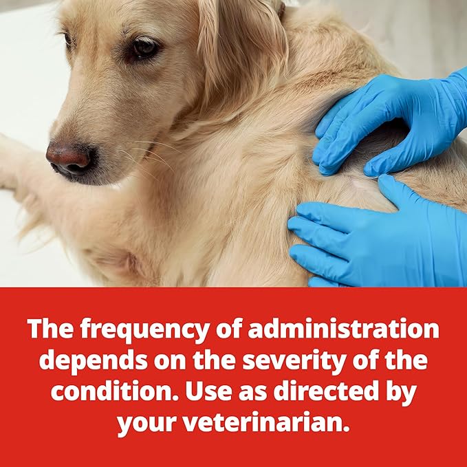 Animax® Ointment (nystatin-neomycin sulfate-thiostrepton-triamcinolone acetonide Ointment) 7.5 mL Tube for Dogs and Cats