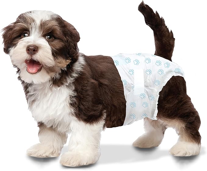 Four Paws Wee-Wee Super Absorbent Disposable Adjustable Dog Potty Training Diapers, Leak-Proof Protection for Dogs, Size Extra Small, Up to 8" Waist, 36 Count